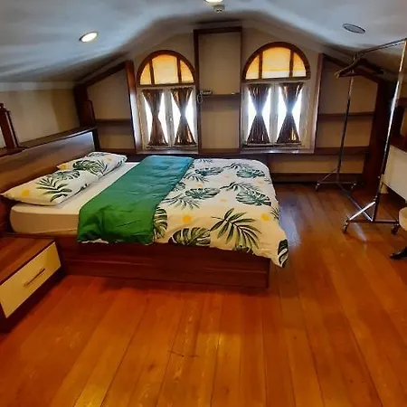 Historic Flower Mansion Villa Istanbul